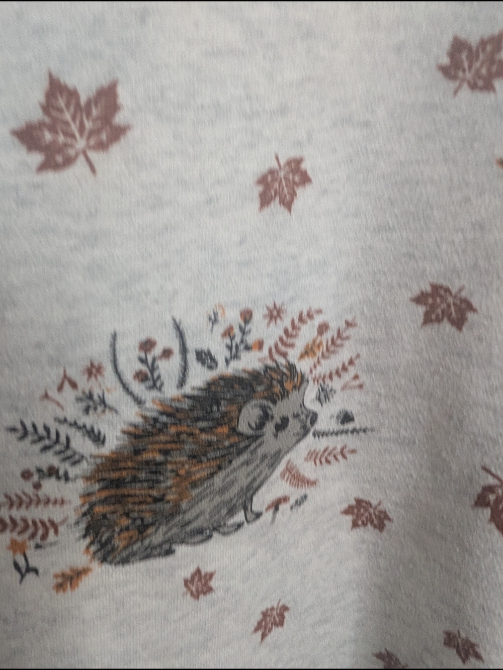 L.A. Soul Hedgehog Print Sweatshirt Crewneck Pullover Women's M Gray Cottagecore - Picture 2 of 7